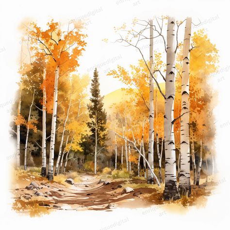 Fall Forest Watercolor, Autumn Watercolor Landscapes, Trees Clipart, Fall Stickers, Birch Forest, Tree Clipart, Digital Photos, Fall Watercolor, Birch Trees