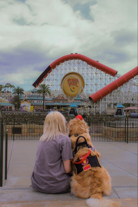 Cute Service Dogs, Cute Service Dog Gear, Disney Service Dog, Service Dog Aesthetic, Billy Showalter, Service Dogs Breeds, Pixar Pier, Service Dogs Gear, Disneyland Photos