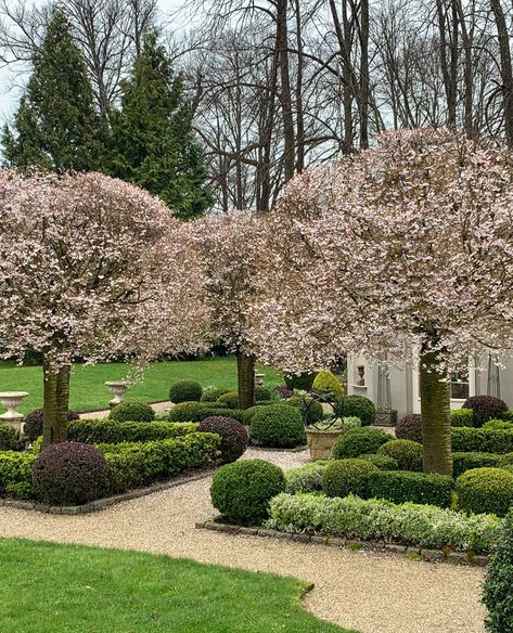 French Garden Ideas, French Garden Design, Formal Garden Design, Parterre Garden, Boxwood Garden, Urban Garden Design, Winter Gardening, House Backyard, Formal Garden