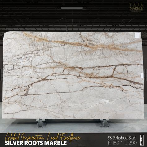 Silver Roots Marble Silver Roots Marble, Tundra Grey Marble, Turkish Marble, Picasso Blue, Dark Emperador, Travertine Pool, Emperador Marble, Stone Pool, French Pattern