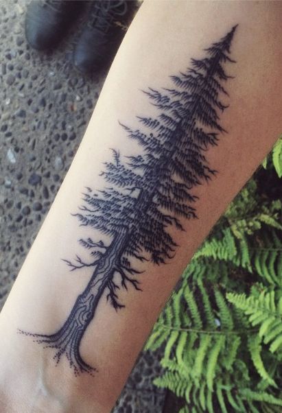 Tree                                                                                                                                                                                 More Big Pine Tree Tattoo, Redwood Tree Tattoos, Woods Tattoos For Men, Chimera Tattoo, Redwood Tree Tattoo, Tree Tattoo Side, Redwood Tattoo, Evergreen Tree Tattoo, Outdoor Tattoo