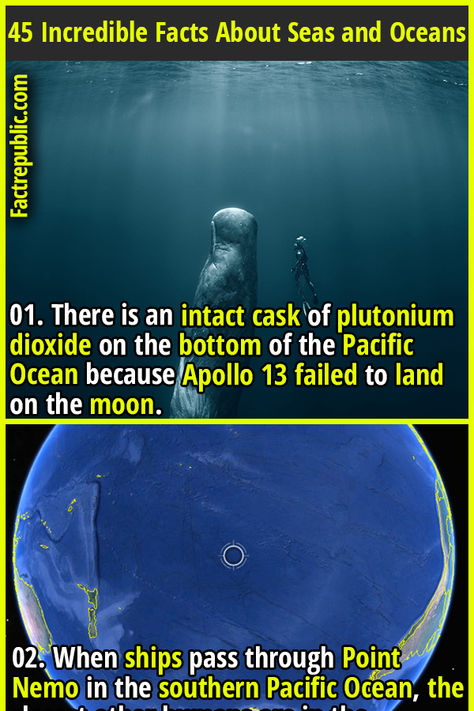 01. There is an intact cask of plutonium dioxide on the bottom of the Pacific Ocean because Apollo 13 failed to land on the moon. #seas #ocean #nature #science #knowledge #education Creepy Ocean, Futuristic Earth, Ocean Facts, Nature Facts, Science Facts Mind Blown, Fun Facts Mind Blown, Science Knowledge, Fact Republic, Science Fact