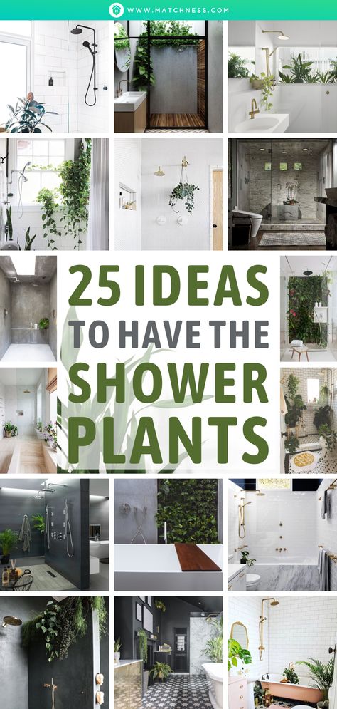 Adding plants to your shower room could be really recommended. The plants will give your shower room such a refreshing ambiance. Well, talking about the plants, there will be really varied but commonly the plants are the tropical plants. #showerplants #showerroom Shower Plants, Modern Bathroom Trends, Bathroom Plants Decor, Wall Hanging Decorations, Indoor Plant Wall, Tropical Bathroom, Window In Shower, Hanging Plant Wall, Plants Wall