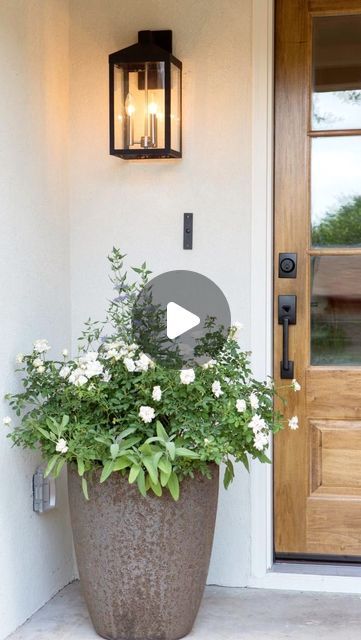 ✨Kate Fuller✨ on Instagram: "Here's a tip on front door decor!✨🌳🧡comment "DECOR" and I'll send you a DM💌🌸I'm sharing my tips on choosing planters and faux trees for the front door space! #frontdoordecor #outdoordesign #planters #homestyling" Front Door Planters, Outdoor Potting Bench, Porch Design Ideas, Porch Fireplace, Farmhouse Front Porches, Back Porch Ideas Decks, Front Porch Ideas Curb Appeal, Front Porch Ideas For Mobile Homes, Small Front Porches