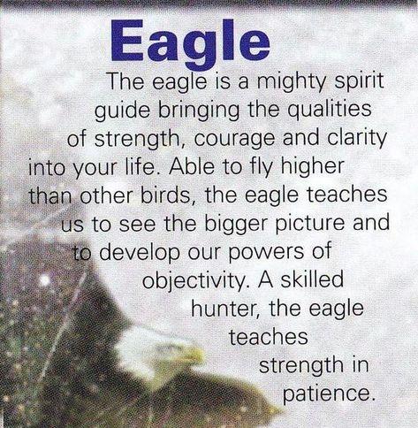 Your Animal Spirit Guide for January 10 is The Eagle – Witches Of The Craft® Eagles Quotes, Animal Totem Spirit Guides, Spirit Animal Meaning, Animal Meanings, Spirit Animal Totem, Animal Spirit Guide, Spiritual Animal, Native American Wisdom, Animal Spirit Guides