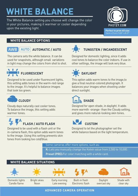 Flash Cheat Sheet, Nikon Cheat Sheet Cards Camera Settings, Photo Ideas Landscape, Photzy Snap Cards, White Balance Cheat Sheet, Photoshop Cheat Sheet, Photography Freebies, Beginner Photography Camera, Wildlife Photography Tips