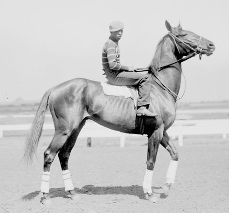 Kentucky Derby Horses, Weird West, Thoroughbred Horse Racing, Horse Galloping, Churchill Downs, Thoroughbred Horse, Race Horses, Wow Video, The Vault