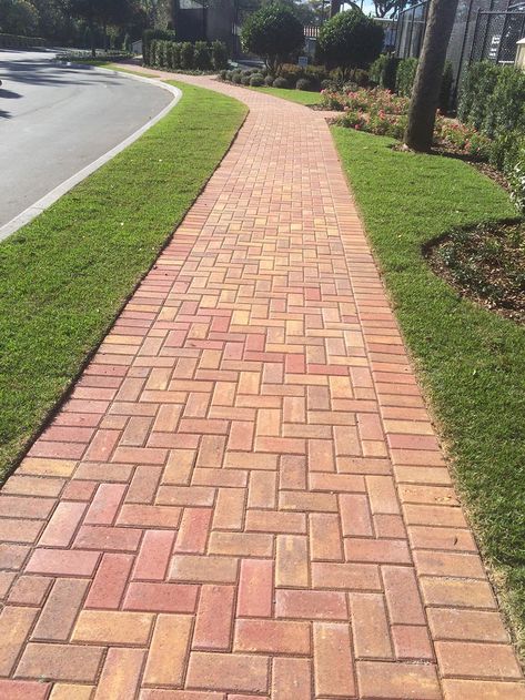 Brick Pavement, Concrete Pavers Walkway, Brick Sidewalk, Walkway Landscaping, Patio Pavers Design, Walkway Design, Brick Walkway, Outdoor Walkway, Paver Walkway