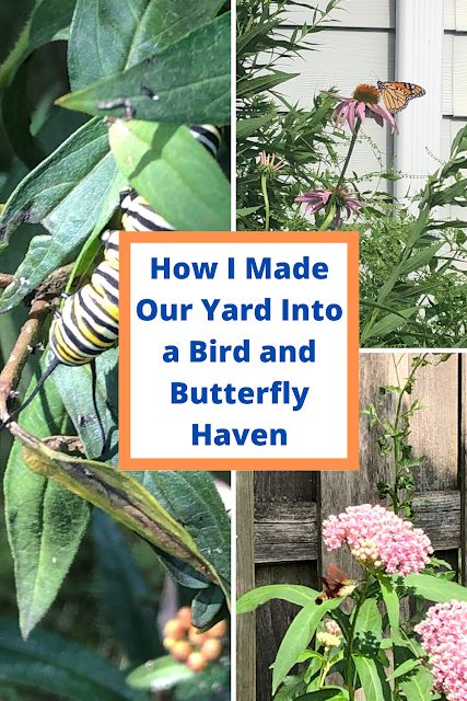 Butterfly Garden Plants, Plants That Attract Butterflies, Butterfly Garden Design, Attract Hummingbirds, Native Plant Gardening, Southern Garden, Butterfly Plants, Eco Friendly Garden, Growing Veggies