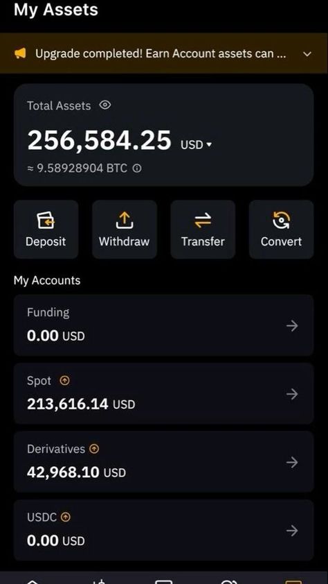 Crypto Account Balance, Crypto Wallet Balance, Bitcoin Balance, Loui Vuttion, Facebook Lottery, Bank Logo, Bitcoin Account, Business Vision Board, Money Planner