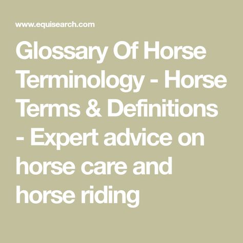 Glossary Of Horse Terminology - Horse Terms & Definitions - Expert advice on horse care and horse riding Horse Terminology, Horse Wormer Schedule, Equine Science, Horse Hacks, Therapeutic Horseback Riding, Books About Horses, Horse Facts, Horse Camp, Eventing Horses