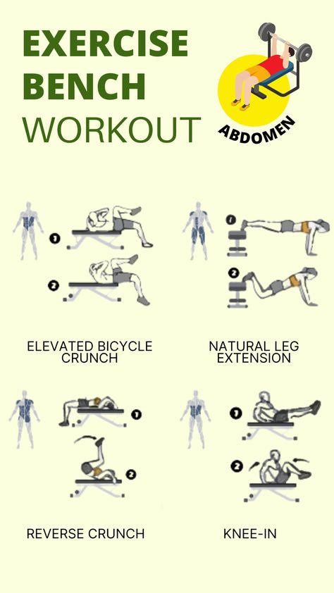 Workout Bench Leg Exercises, Weight Bench Leg Exercises, Leg Bench Workout, Abs Workout Bench, Core Bench Workout, Ab Workout Bench Exercise, Bench Abs Workout Gym, Bench Core Exercises, Abs On Bench