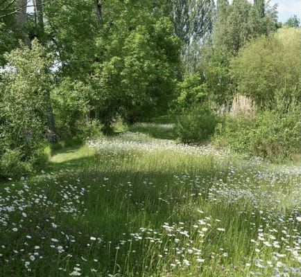 What type of nature fairy are you? Take this quiz to find,#Nature_Verte #Hijau_Mint #Mint_Green_Aesthetic #Creation_Art Trees, Flowers, Green, White, Instagram, Nature