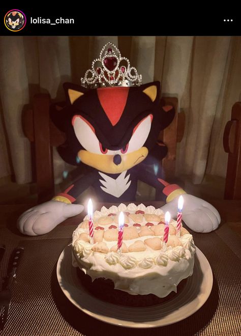 Princess Shadow, Favorite Disney Princess, Same Picture, Shadow The Hedgehog, The Hedgehog, Sonic, Sonic The Hedgehog, My Favorite, Happy Birthday