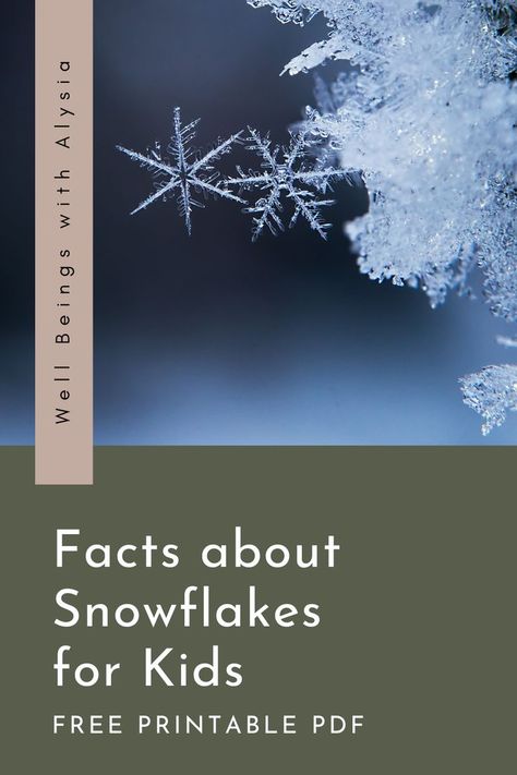 A close-up photograph of two snowflakes. The text reads facts about snowflakes for kids, free printable PDF.