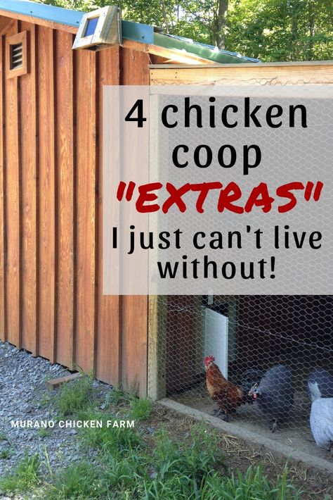 4 Chicken Coop, Cute Chicken Aesthetic, Chicken Drawing Cute, Chicken Animation, Cute Chicken Drawing, Chicken Aesthetic, Chicken Coop Pallets, Cute Chicken Coops, Easy Chicken Coop