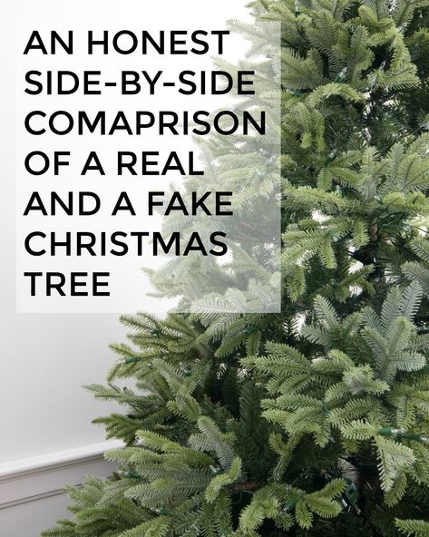 Costco Christmas, Fake Xmas Tree, Balsam Hill Trees, Balsam Fir Christmas Tree, Balsam Tree, Tree Fillers, Winter Firs, Balsam Hill Christmas Tree, Full Christmas Tree