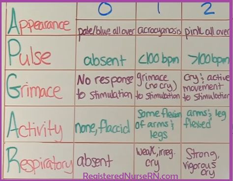 APGAR Newborn Assessment NCLEX Review Nursing Ob, Pediatric Nursing Study, Newborn Assessment, Apgar Score, Neonatal Nurse Practitioner, Stimulation Activities, Nursing School Organization, Nursing Style, Nursing School Life