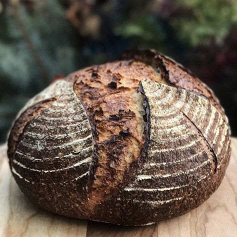 Learning about dough handling and scoring…. Scoring plays a critical role in the final shape of the boule. Wholemeal Flour Recipes, Dark Rye Bread Recipe, Wholemeal Bread Recipe, Easy Sourdough Starter, Sourdough Bread Starter, Whole Wheat Pancakes, Wheat Pancakes, Brunch Bread, Bread Starter