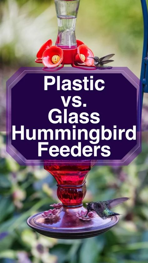 Hummingbird Feeder Hanging Ideas, Hummingbird Feeder Ideas, Hummingbird Feeder Diy, Homemade Hummingbird Feeder, Diy Hummingbird Feeder, Hummingbird Food, Upcycle Plastic, Glass Bird Feeders, Glass Hummingbird Feeders