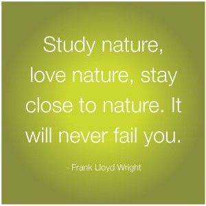 study nature Quote About Nature, My Best Life, Pictures Quotes, Albert Einstein Quotes, Inside Job, Sweet Quotes, Closer To Nature, Frank Lloyd, Frank Lloyd Wright