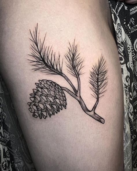 Pine Cone And Needles Tattoo, Hay Bale Tattoo, Pine Cone Tattoo Design, Pine Needle Tattoo Branches, Pine Leaves Tattoo, Michigan Inspired Tattoos, Pine Tattoo Branch, Pine Leaf Tattoo, Pine Cone Tattoo