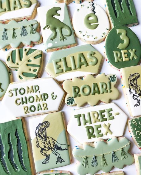 Three Rex Birthday Party Boy Cake, Dino Cookies, Third Birthday Boys, 3rd Birthday Party For Boy, 3rd Birthday Boys, Dinosaur Birthday Party Decorations, Dinosaur Themed Birthday Party, Baby Birthday Themes, Dino Birthday Party