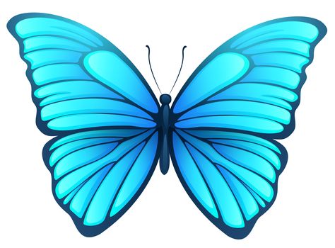 Orange And Black Butterfly, Teal Butterfly, Butterfly Png, Butterfly Artwork, Butterfly Template, Butterfly Images, Butterfly Illustration, Butterfly Clip Art, Butterfly Pictures