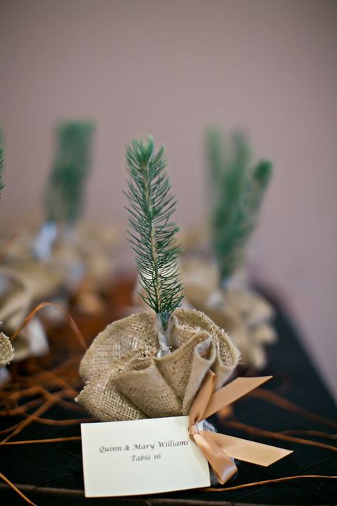 7 eco friendly wedding favours | Sophia Lemon Favours Ideas, Eco Friendly Wedding Favors, Christmas Wedding Favors, Favours Wedding, Winter Wedding Favors, Winter Wedding Colors, Sustainable Wedding, Inexpensive Wedding, Eco Friendly Wedding