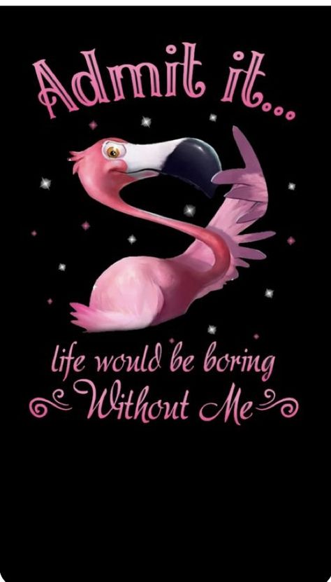 Flamingos Quote, Good Morning Facebook, Fancy Flamingo, Funny Flamingo, Morning Quotes Funny, Funny Thoughts, Funny Cartoon Quotes, Cartoon Quotes, Admit It