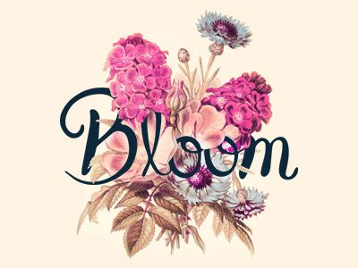 Bloom Aesthetic, Flower Quotes Love, Boutique Names, Art Biz, Beauty Academy, Flower Boutique, Notebook Ideas, Floral Border Design, Flower Quotes