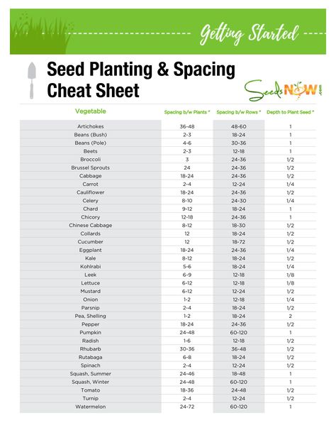 PRINTABLE! Seed Planting & Spacing Cheat Sheet | SeedsNow.com Seed Planting Guide, Seed Spacing, Gardening Layout, Growing Calendar, Seed Planting, Free Seeds, Ant Hill, House Planning, Barley Grass