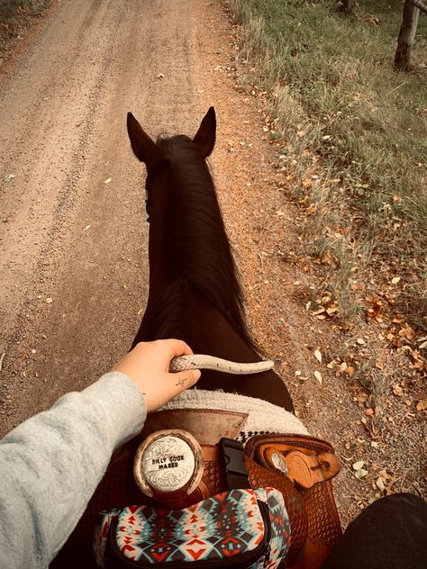 Ranch Aesthetic, Chestnut Horses, Horse Western, Dream Horse, Cowboy Horse, Cowgirl Aesthetic, Western Riding, Country Boy, Horse Aesthetic