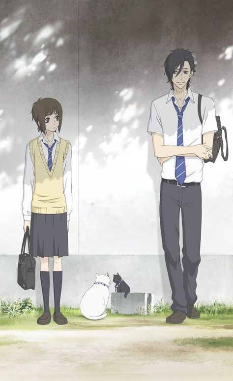 Shojo Anime, Best Romance Anime, Anime Reviews, Ao Haru Ride, 5 Anime, I Love Anime, Say I Love You, All Anime, Anime Kawaii