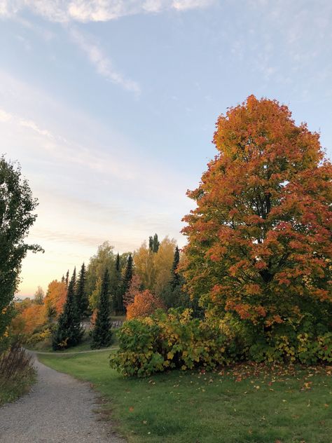 Cosy Autumn Aesthetic, Finland Autumn, Finland Aesthetic, Finland Travel, Fall Mood Board, Fall Mood, Fall 24, Fall Feels, Fall Is Here