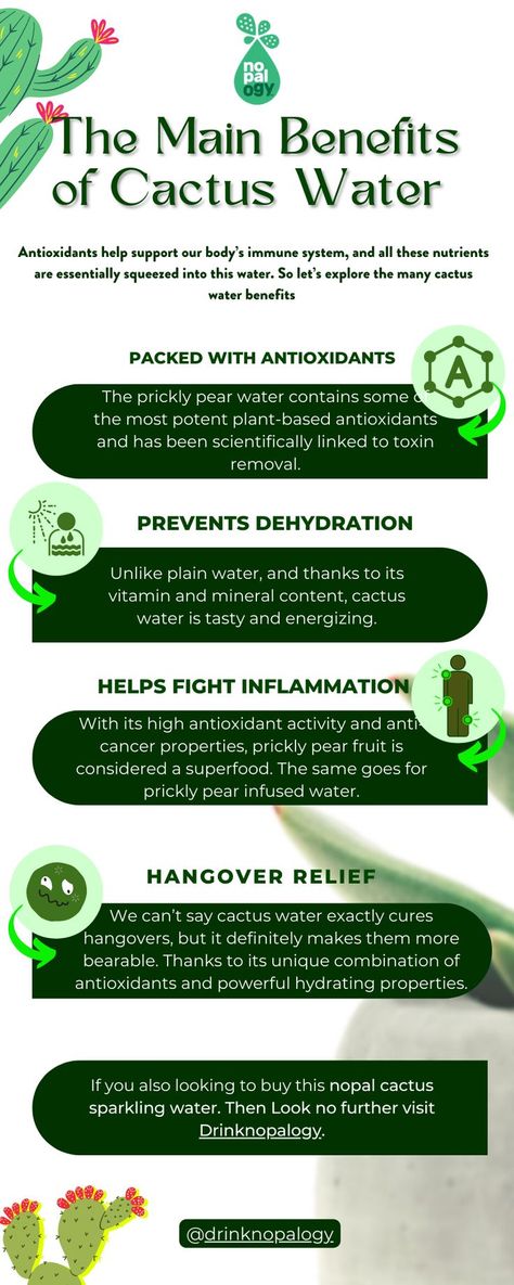 Antioxidants help support our body’s immune system, and all these nutrients are essentially squeezed into this water. So let’s explore the many cactus water benefits Benefits Of Cactus, Cactus Benefits, Water Health Benefits, Cactus Water, Water Health, Water Benefits, Pear Fruit, Infused Water, Holistic Healing