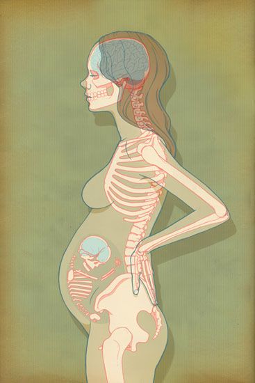 via acreativeuniverse.com Cool Baby, Pregnant Woman, Inspirational Art, A Drawing, Pregnant Women, Anatomy, Skeleton, Bones, Aurora Sleeping Beauty