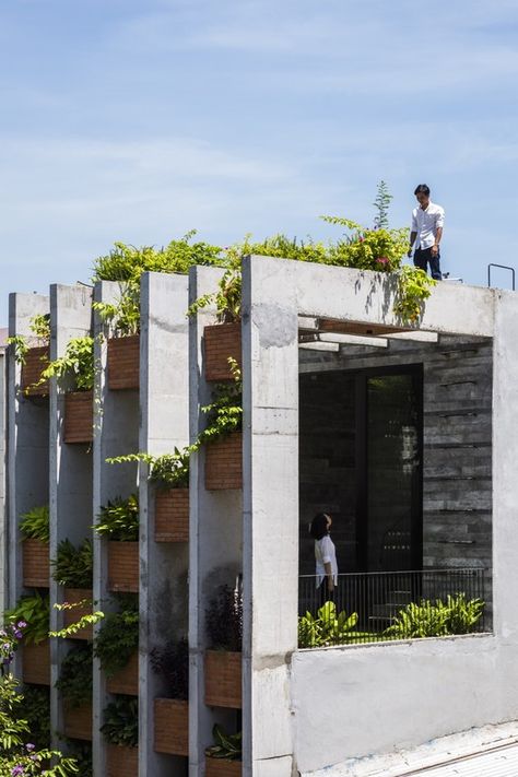 Building With Plants, Architecture Cool, Green Facade, Green Architecture, Design Exterior, Building Facade, Facade Architecture, Sustainable Architecture, Facade Design