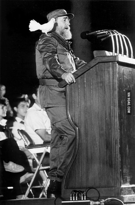 Bird lands on well known politician during a rally. (1959) Fidel Castro Art, Fidel Castro Quotes, Fidel Castro Che Guevara, Che Guevara Art, Viva Cuba, Communist Propaganda, Ernesto Che, The Dictator, Fidel Castro