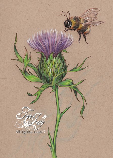 thistle and bee Scottish Thistle Tattoo, 자작나무 그림, Scottish Tattoos, Thistle Tattoo, Thistles Art, Nursery Painting, Bee Drawing, Bee Painting, Thistle Flower