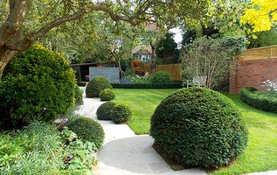 10 Trees That Work in a Small Garden | Houzz UK Garden Renovation Ideas, Patio Landscape Design, Zen Garden Design, Areas Verdes, London Garden, Design Blogs, Patio Landscaping, Landscape Plans, Garden Landscape Design