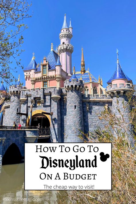 Looking for a cheap way to visit Disneyland? I've got all the info you need on how to go to Disneyland on a budget! Disneyland Budget Planner, Disneyland Budget, Disneyland On A Budget, Disney Planner, Disneyland Planning, Disney Board, Disneyland Tips, Disneyland Vacation, Vacation Tips