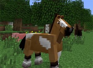 minecraft horses Minecraft Horse, Minecraft E, Cool Minecraft Creations, Minecraft Mobs, Horse Boarding, Minecraft Pe, How To Play Minecraft, Cool Minecraft, Minecraft Crafts