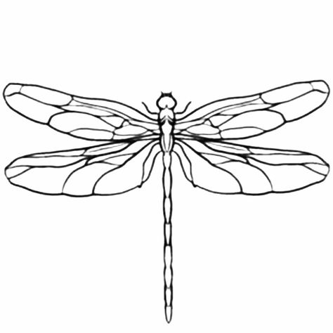 Dragonfly Outline Drawings, Dragon Fly Wings Drawing, Linework Dragonfly Tattoo, Dragon Fly Drawing Sketch, Dragon Fly Tattoo Stencil, Dragon Fly Stencil, Dragon Fly Outline, Dragonfly Drawing Sketch, Dragonfly Tattoo Stencil