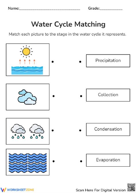 Explore the water cycle by matching pictures depicting words as they pair each stage of the water cycle with its name. Take this pdf and practice right now! #watercycle #science #matching #picturewordmatching #worksheet #printables #water #environment #diagrams #livingthings #pdfs Water Cycle Activities Middle School, The Water Cycle Worksheet, Water Cycle Game, Water Cycle Model, Kids Quiz Questions, Geology Lessons, Water Cycle Activities, Cycle Pictures, Water Cycle Worksheet