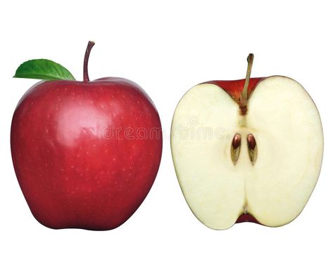 Two apples-2. One whole apple and one sliced in a half , #spon, #apples, #sliced, #apple #ad Apple Cross Section, Manzana Aesthetic, Sliced Apple, Half Apple, Apple Slice, Fruit Logo Design, Apple Cut, Shapes Worksheet Kindergarten, Apple Head