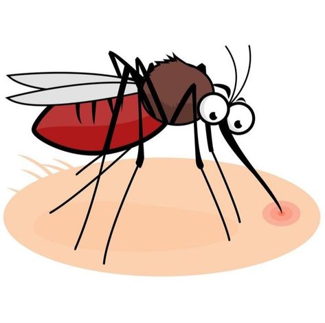 Mosquito Illustration, Mosquito Drawing, Cartoon Mosquito, Free Cartoon Characters, Fever Symptoms, Stickers For Goodnotes, Cartoon Eyes, Lifestyle Illustration, Cartoon Photo