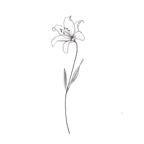 Small Lily Tattoo, Lilly Flower Tattoo, Narcissus Flower Tattoos, Tiger Lily Tattoos, Water Lily Tattoos, Lillies Tattoo, Lily Tattoo Design, Lily Flower Tattoos, Tattoos Meaningful