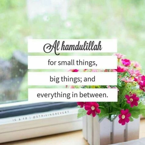 Alhamdulilah Syukur Quotes, Alhumdulillah Quotes Beautiful, Alhumdulilah Dp, Prophet Muhammad Quotes, Alhumdulillah Quotes, Dear Self Quotes, Life Quotes Pictures, Islamic Quotes Wallpaper