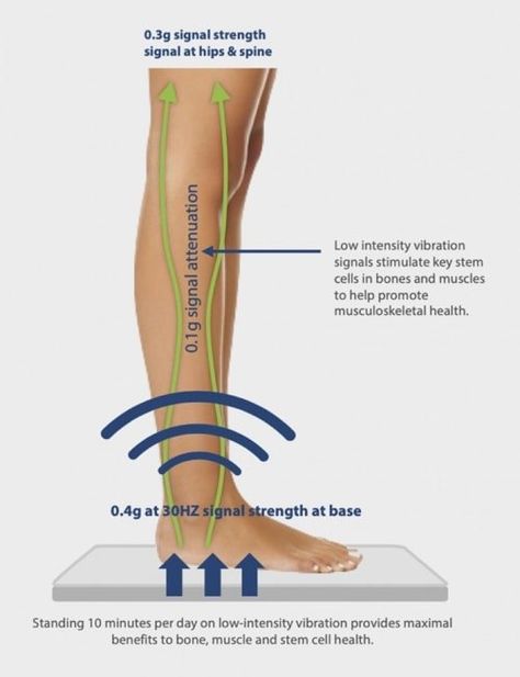 Whole Body Vibration Therapy for Osteoporosis and Bone Density Bone Density Exercises, Nerve Pain Remedies, Osteoporosis Exercises, Osteoporosis Prevention, Vibration Plate Exercises, Bone Healing, Whole Body Vibration, Increase Bone Density, Massage Therapy Techniques